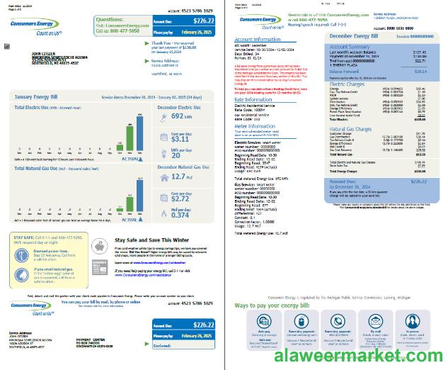 USA Consumers Energy utility bill template in Word and PDF formats, 2 pages